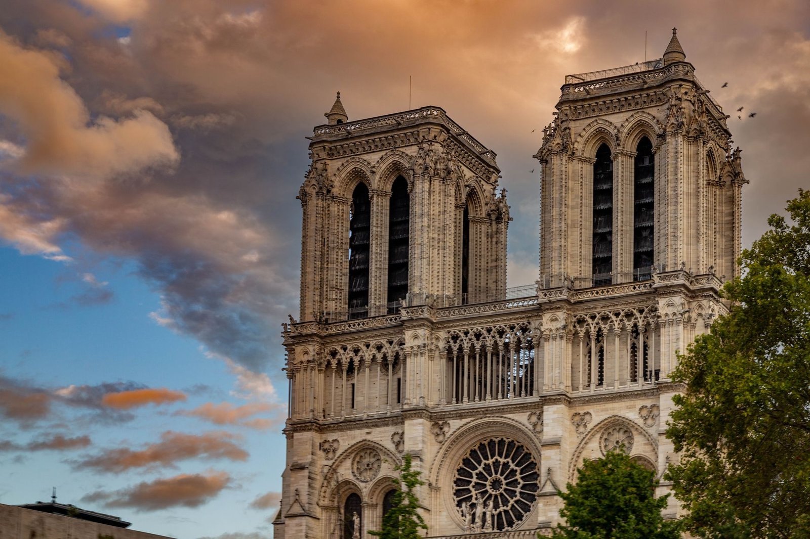 Catedral de Notre-Dame de Paris